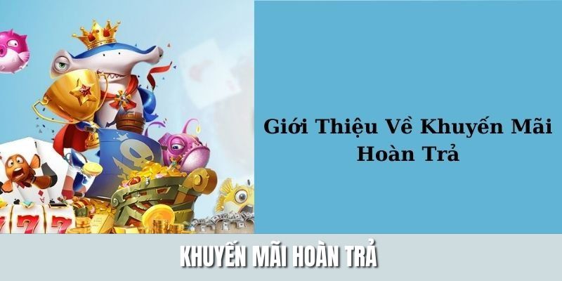 Khái quát tổng quan về chương trình khuyến mãi hoàn trả